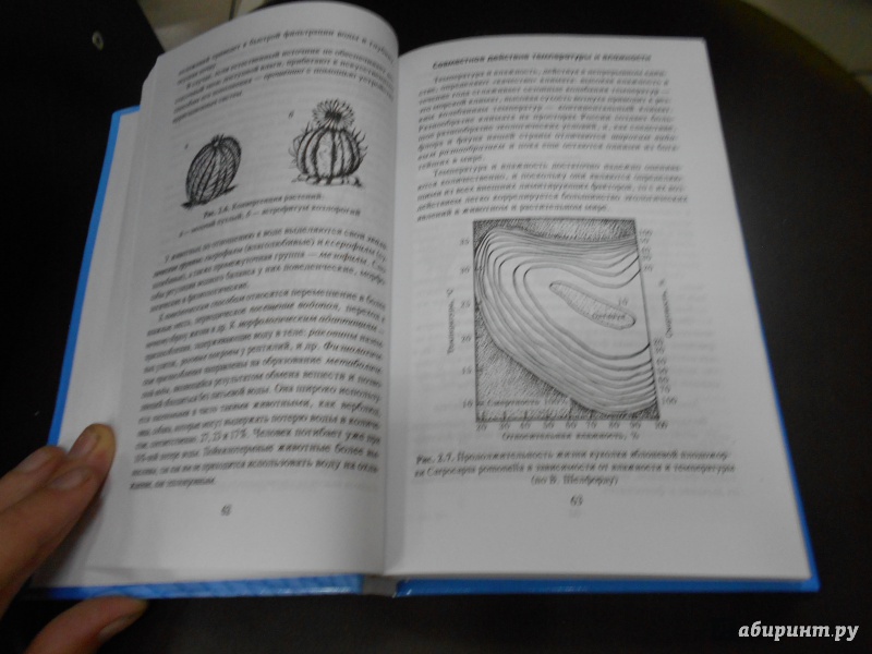 Коробкин передельский экология скачать бесплатно pdf