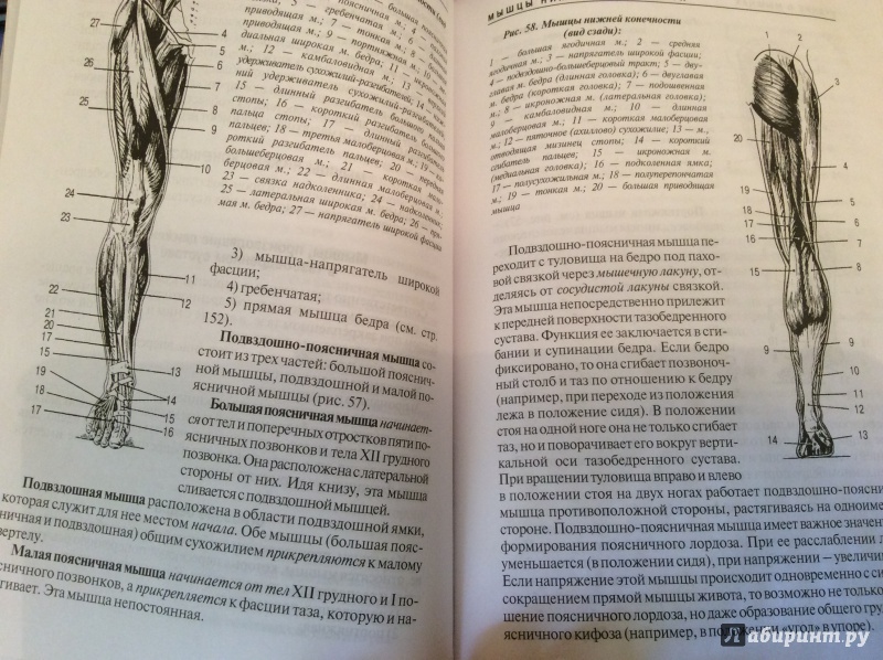 Дорохов р.н губа в.п 2002 Дорохов р.н губа в.п 2002