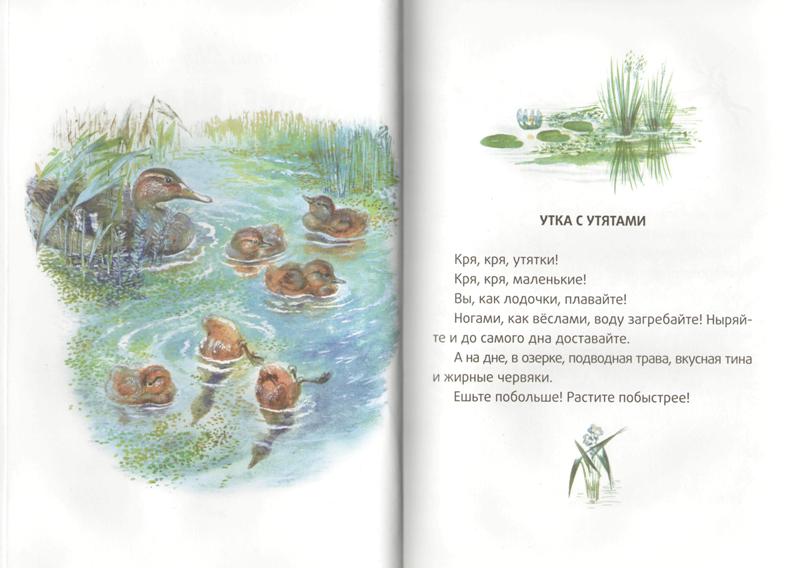 Читать онлайн книгу путь к финансовой независимости