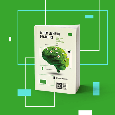 Как вы думаете, есть ли у растений интеллект?