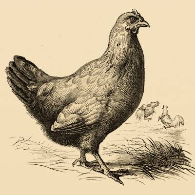 Противосолонь