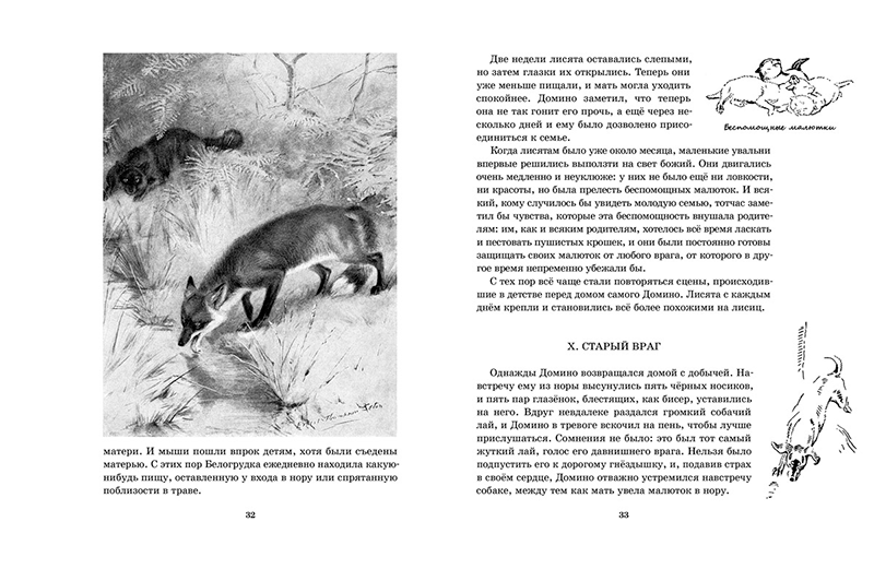 Рассказ сетона томпсона читать. Книга рассказы о животных Сетон Томпсон.