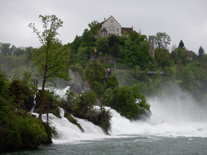 «Под ивою». Рейнский водопад. Фото: Николай Горбунов