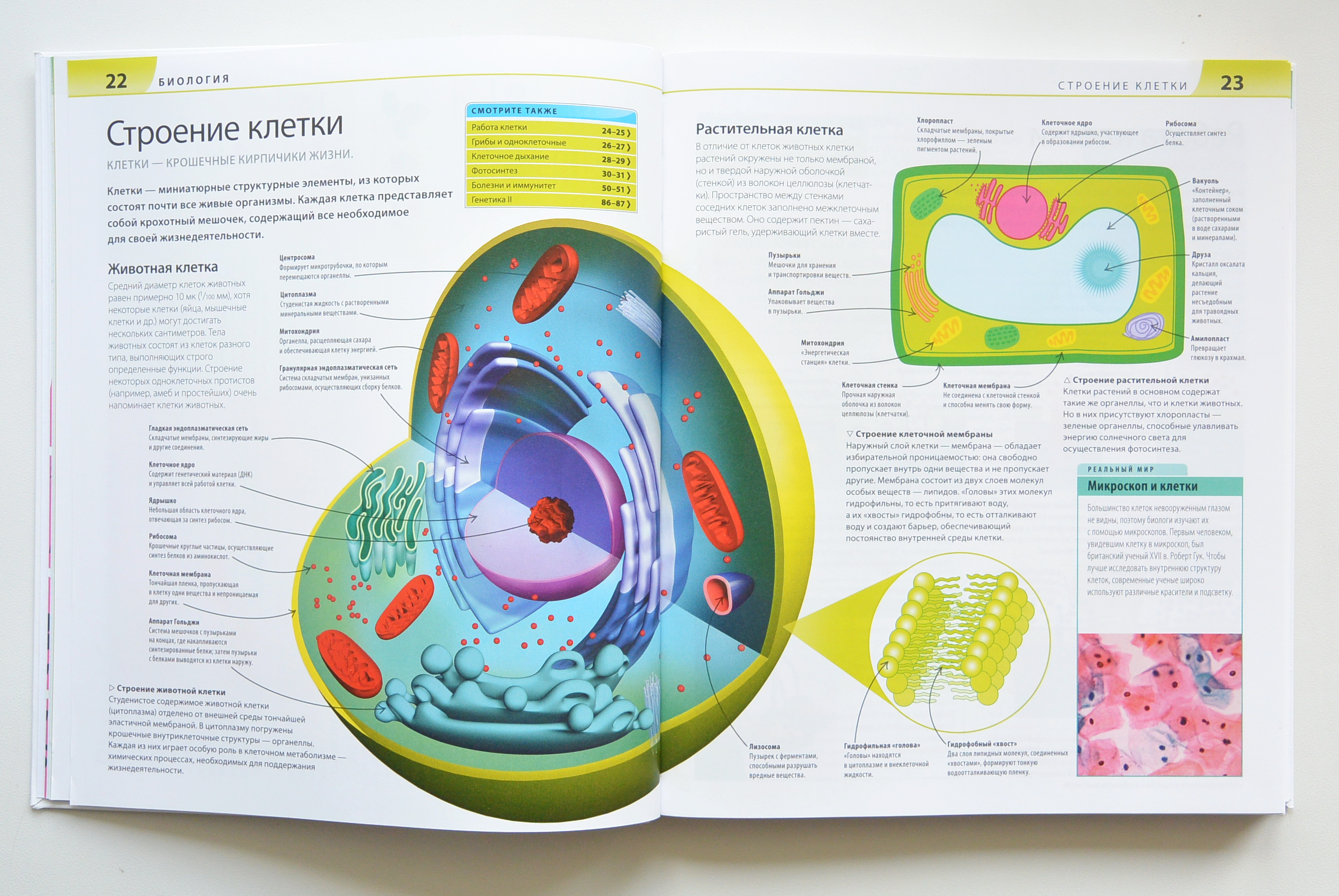 Иллюстрированная наука. Книга по биологии для детей. Как объяснить ребенку науку. Книжка детская про клетку. Биология для малышей книга.