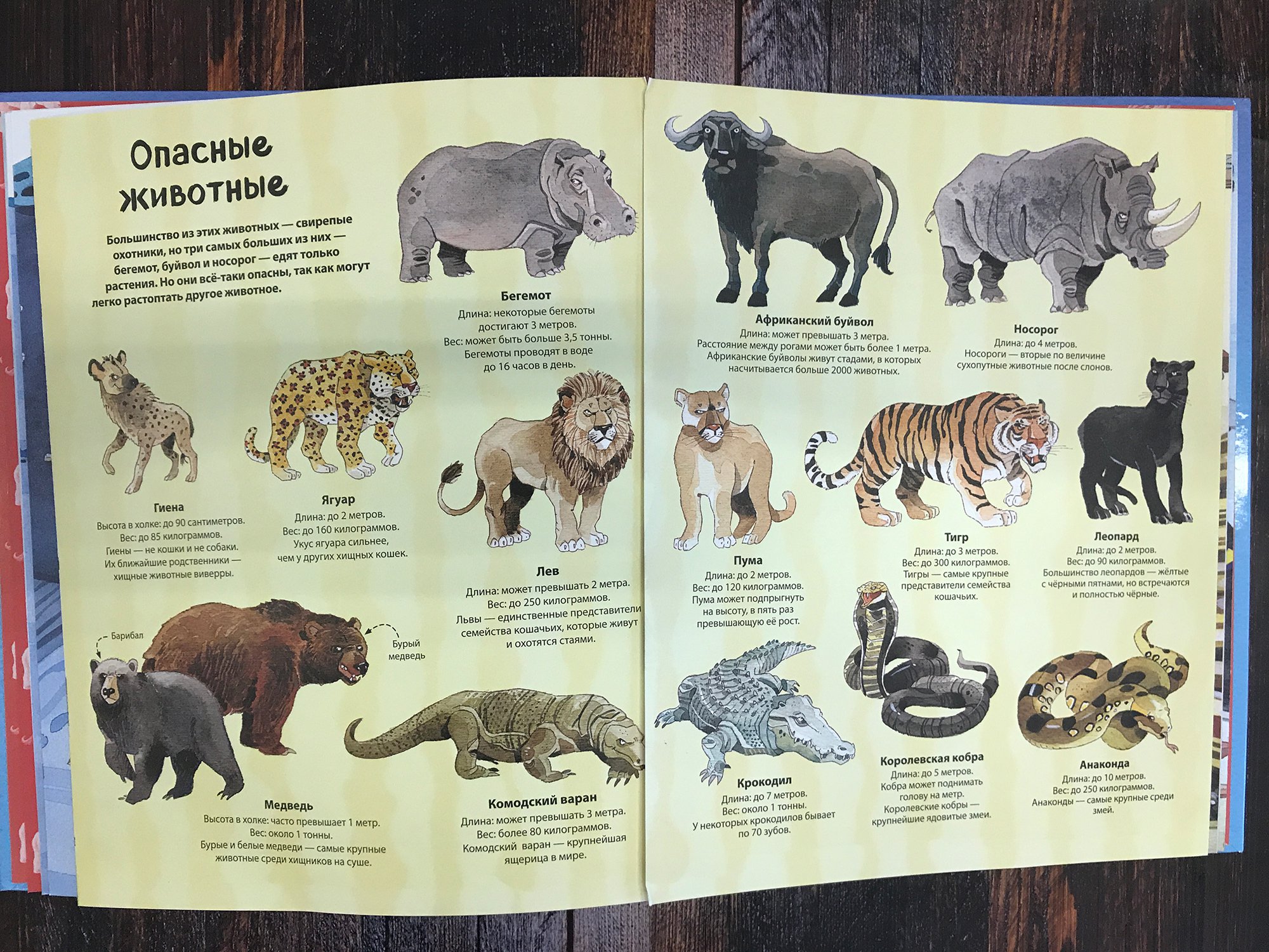 Самые большие животные список. Животные список. Животные. Энциклопедия. Хищные животные список животных. Энциклопедия самые большие животные.