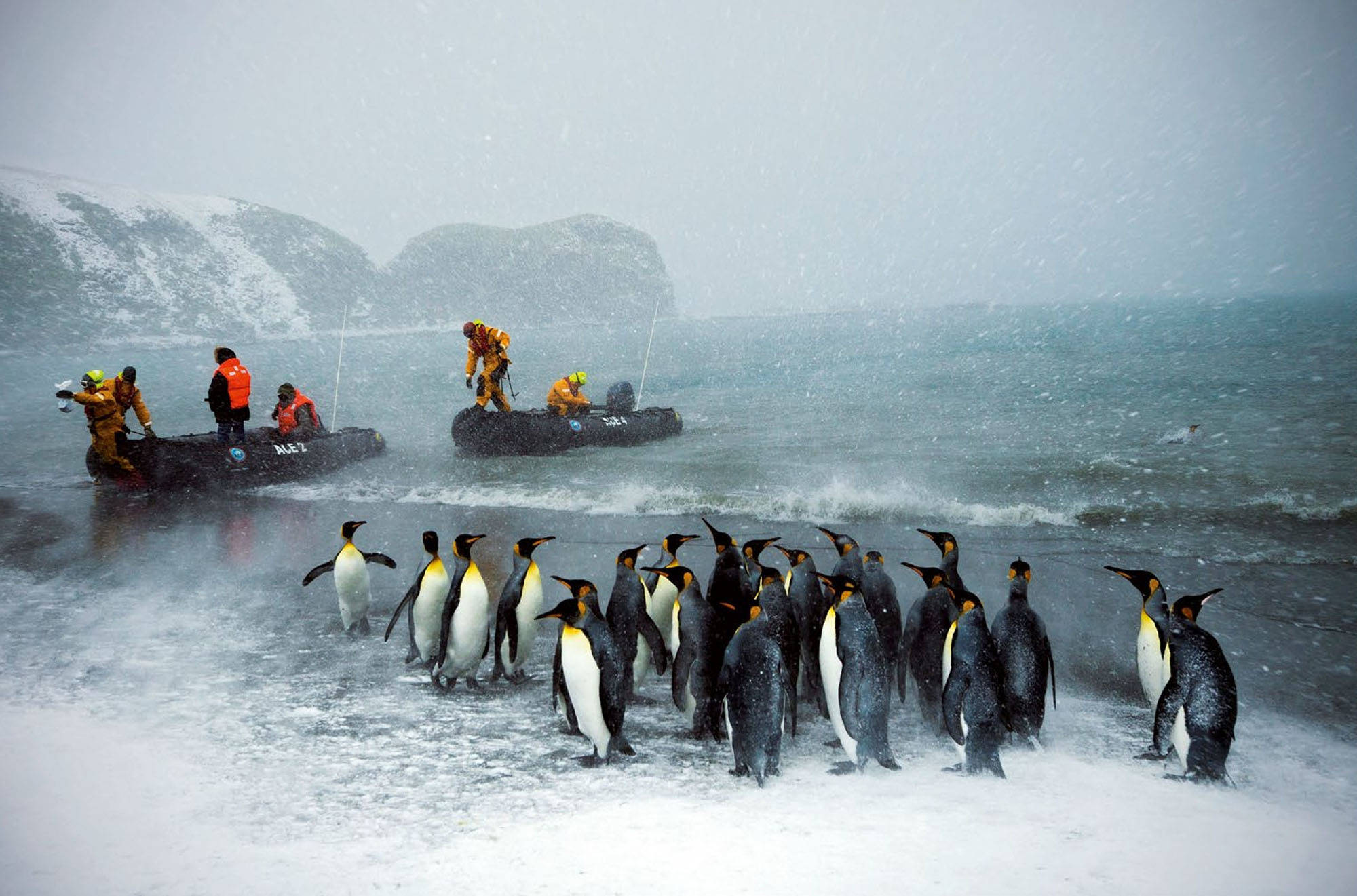 Наша экспедиция задуманная еще зимой носила научный. Экспедиция в Антарктиду. Научная Экспедиция. Антарктида люди. Антарктида туризм.