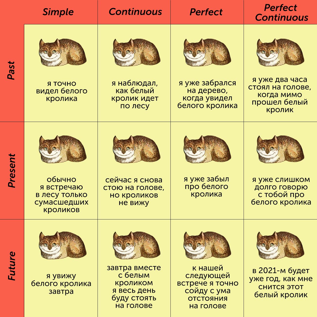 Времена в английском языке картинка с котом