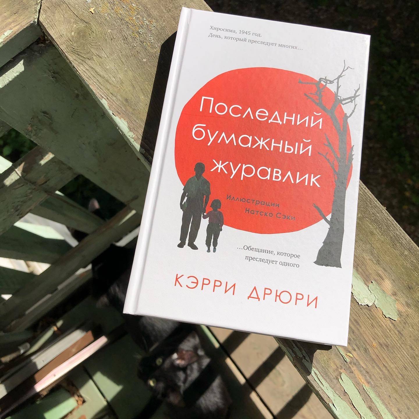 Слово переводчику. Анастасия Строкина о романе «Последний бумажный журавлик»