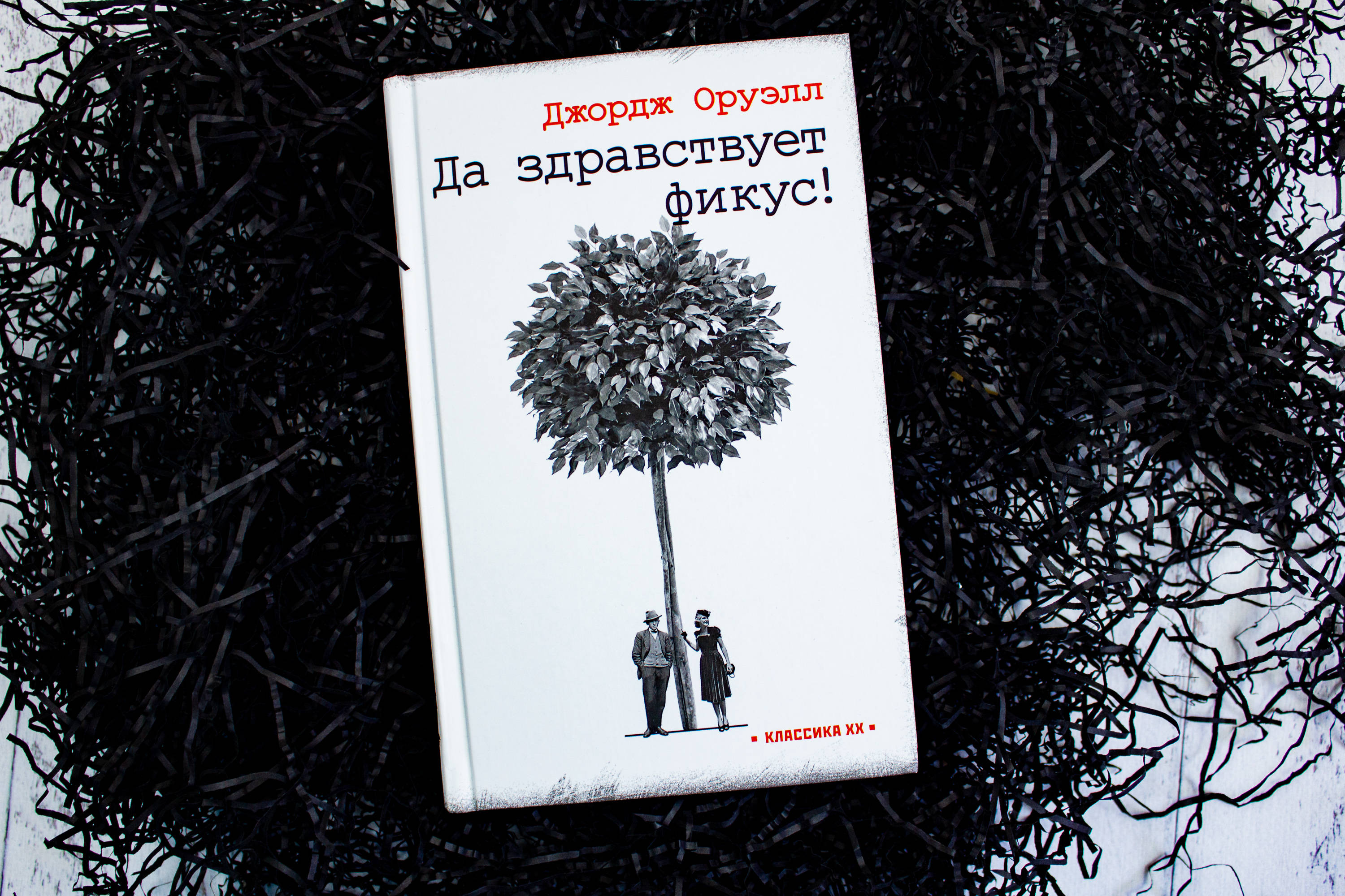 Оруэлл книги фикус. Да здравствует фикус Джордж Оруэлл. Оруэлл фикус. Да здравствует фикус! Джордж Оруэлл книга. Да здравствует фикус! Книга.