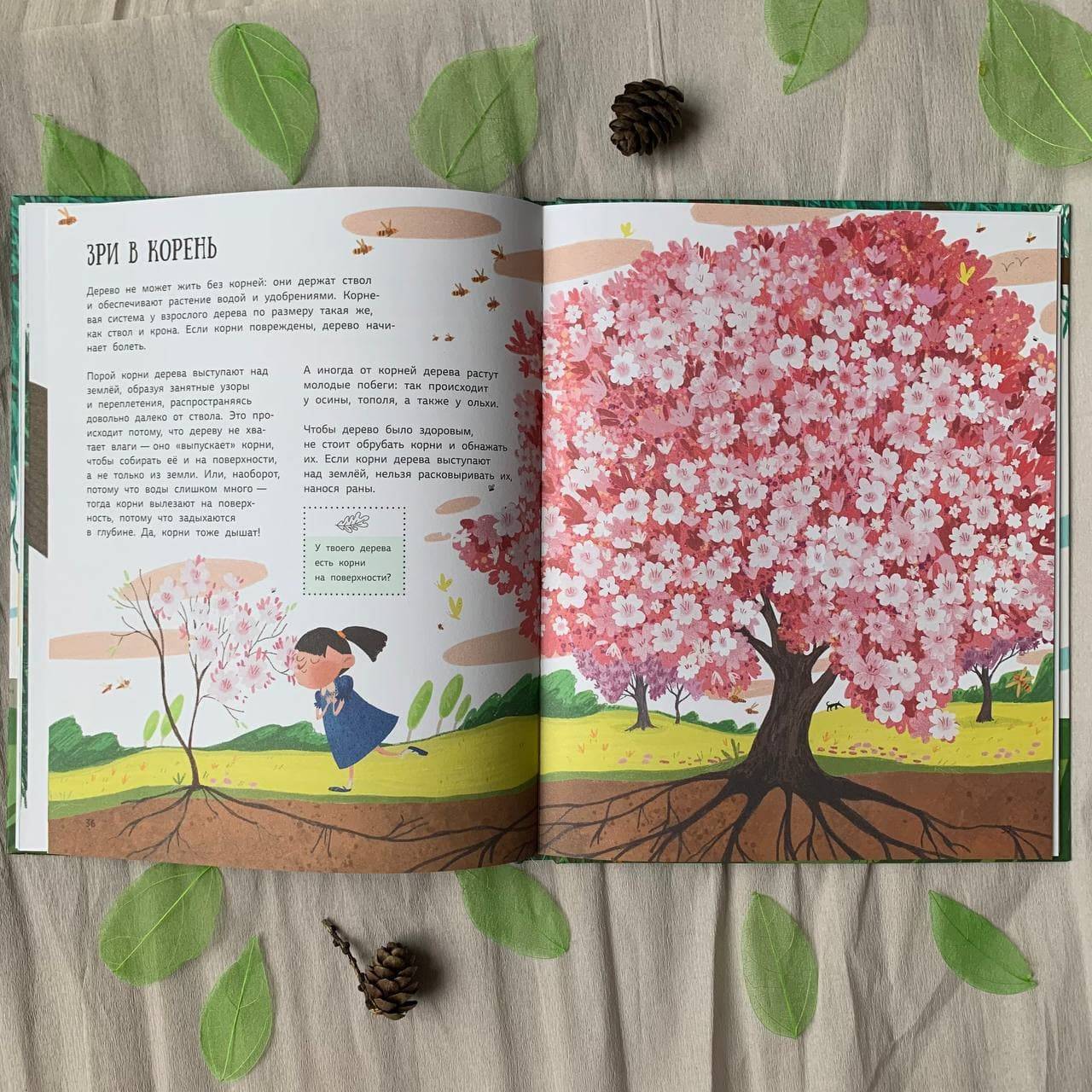 Тайны деревьев книга. Дерево прочтенных книг для детей. Книга тайна деревьев. Как зовут твое дерево книга. Грачиное дерево книга.