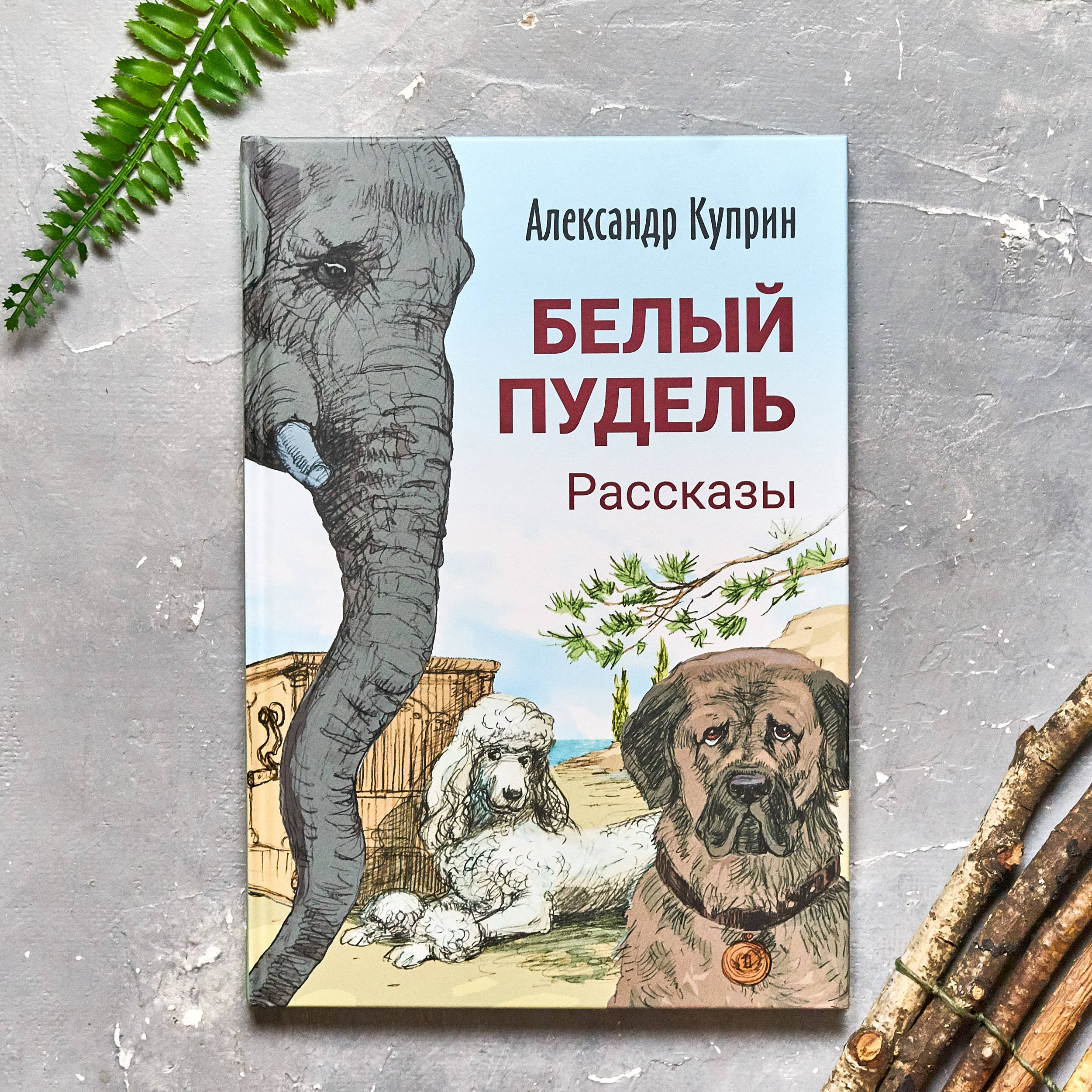 Слушать аудиокнигу куприн пудель