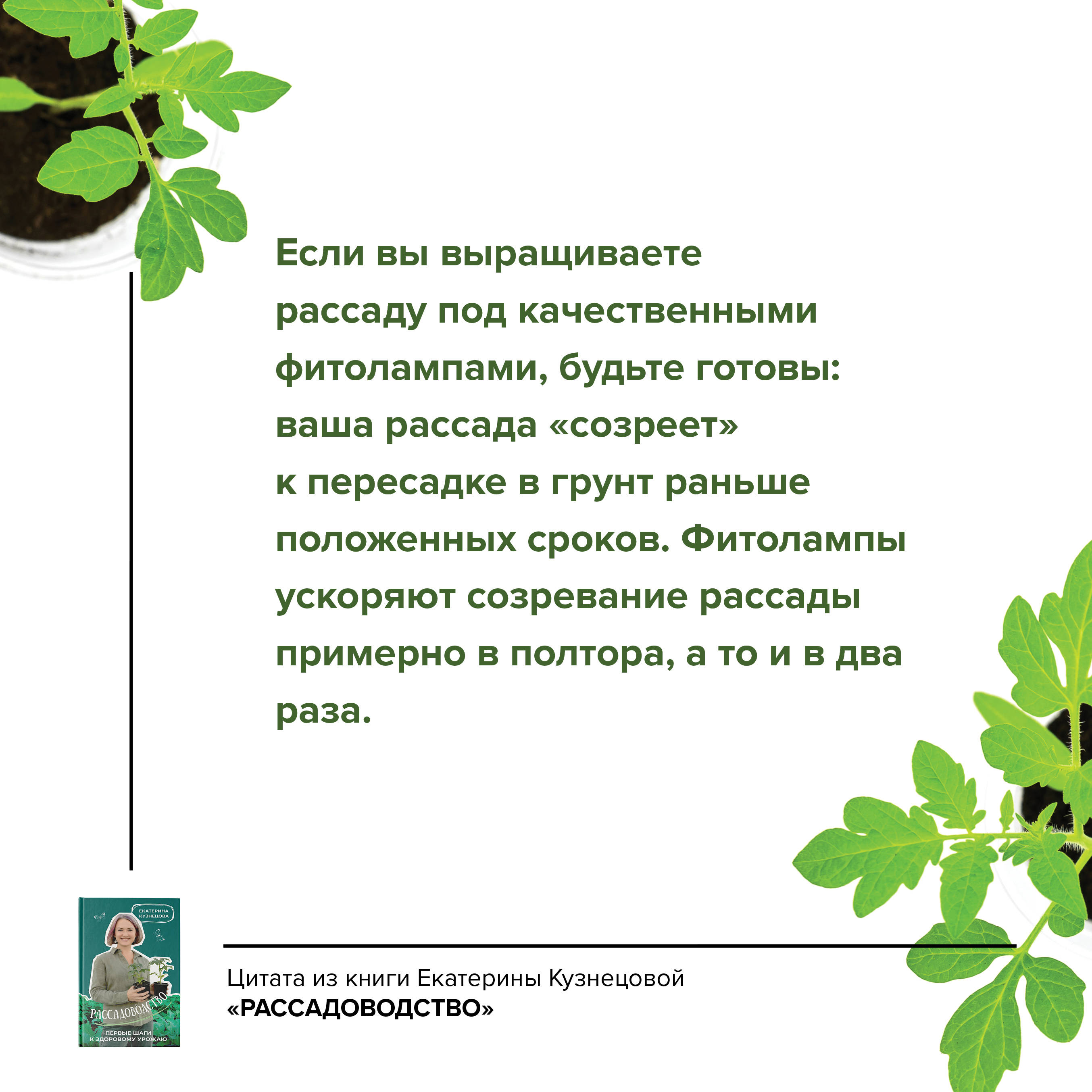 Цветет и пахнет: творим красоту на дачном участке