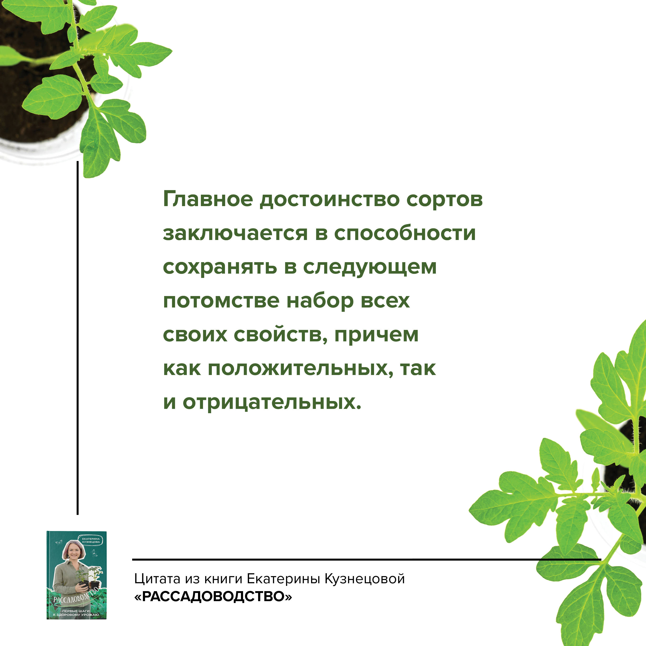 Цветет и пахнет: творим красоту на дачном участке