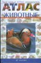 http://img.labirint.ru/images/books5/182530/small.jpg