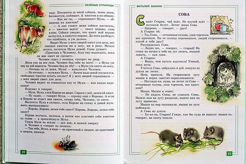 зеленые страницы для 3 класса Для зеленые 3 класса страницы