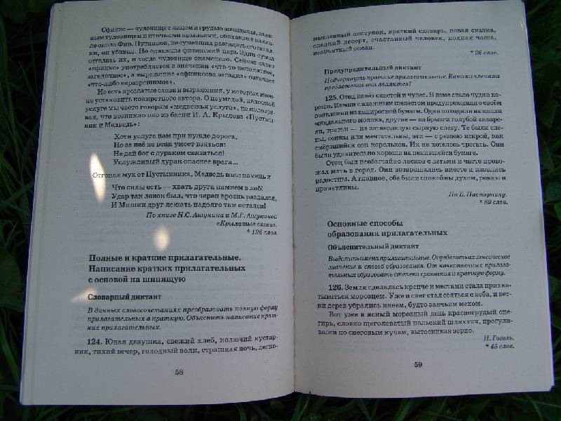Русскому класс по капуста языку 8 диктант