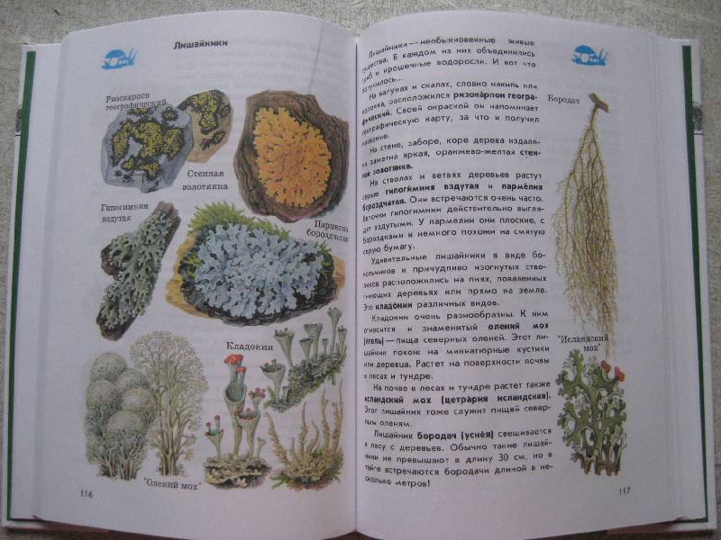 Атлас-Определитель От Земли До Неба 4 Класс - collectivedannie