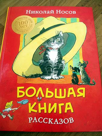 Николай носов рассказы читать онлайн бесплатно с картинками