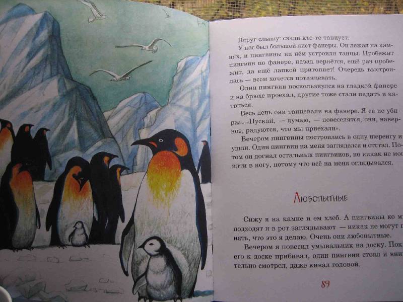 Пересказ рассказов про пингвинов старшая. Снегирев г я про пингвинов. Отважный Пингвиненок Снегирев. Пингвины Снегирев Пингвиний пляж.