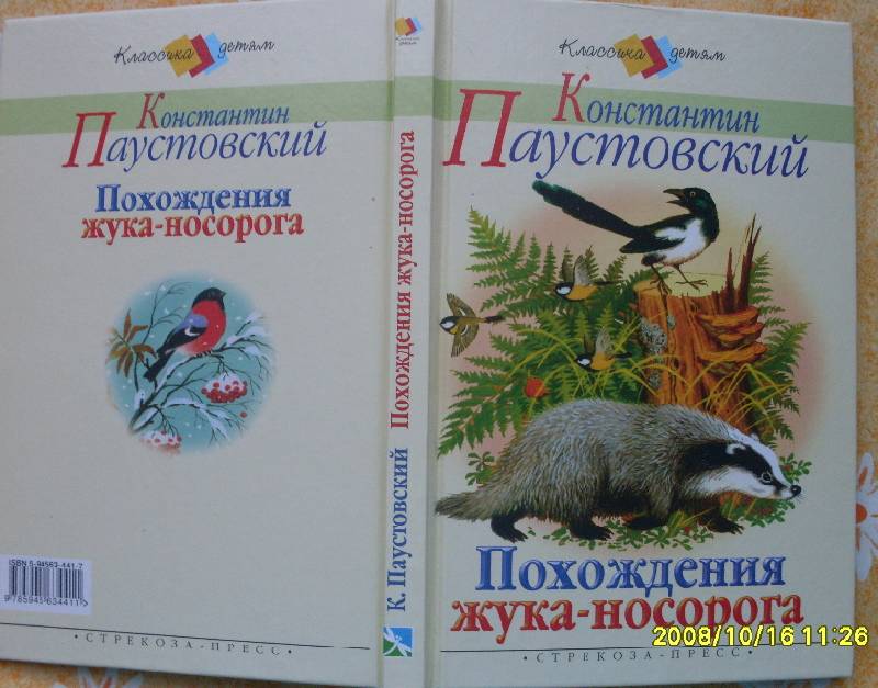 Книга: "Похождения жука-носорога" - Константин Паустовский. Купить ...