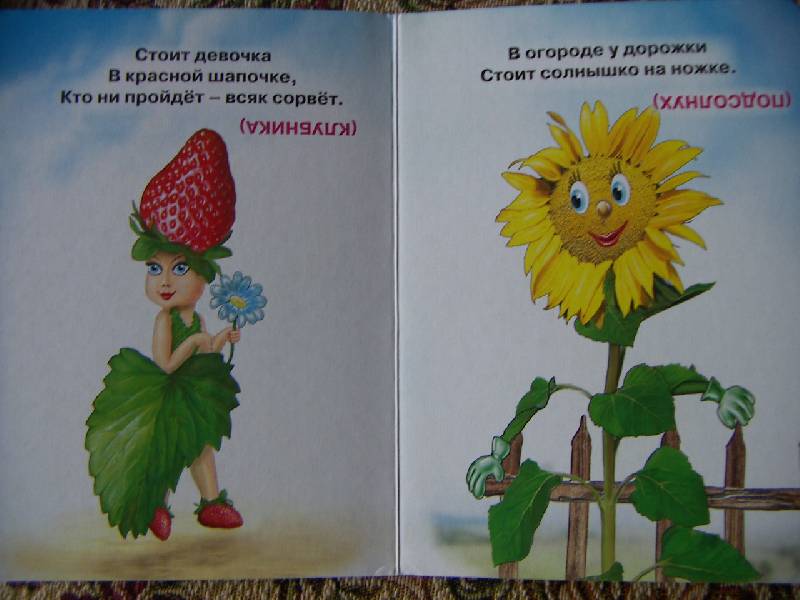 Загадки о растениях 1 класс. Загадки. Загадки про растения 1 класс. Загадки про растения для детей. Книжка малышка про растения.