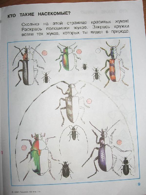 Окружающим рабочая тетрадь 1 класс плешаков. Жуки окружающий мир 1 класс Плешаков. Атлас определитель Плешаков жуки.