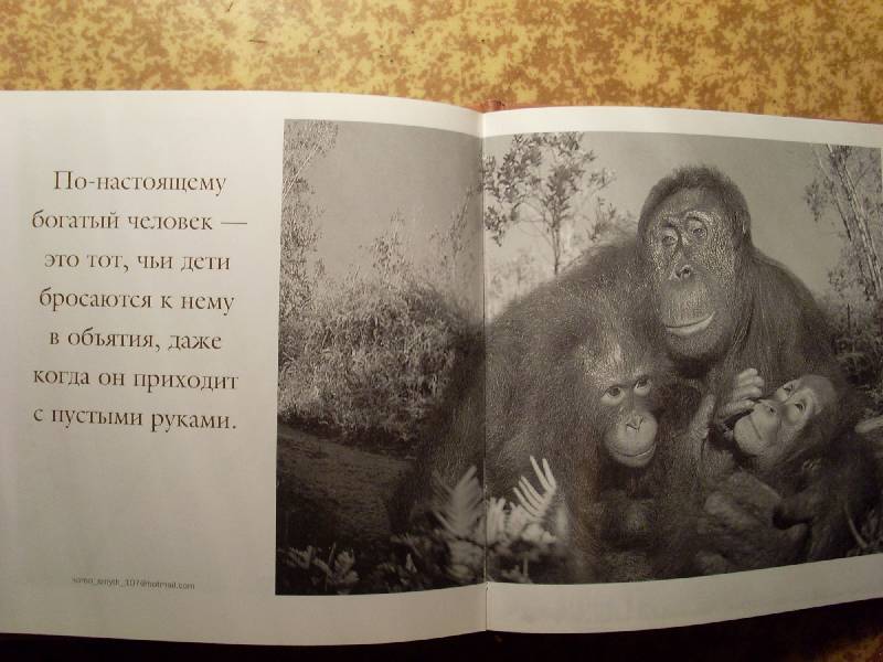 Иллюстрация 10 из 17 для Папочка - классный! Мудрость жизни: Почти все об отцовстве | Лабиринт - книги. Источник: Ольха