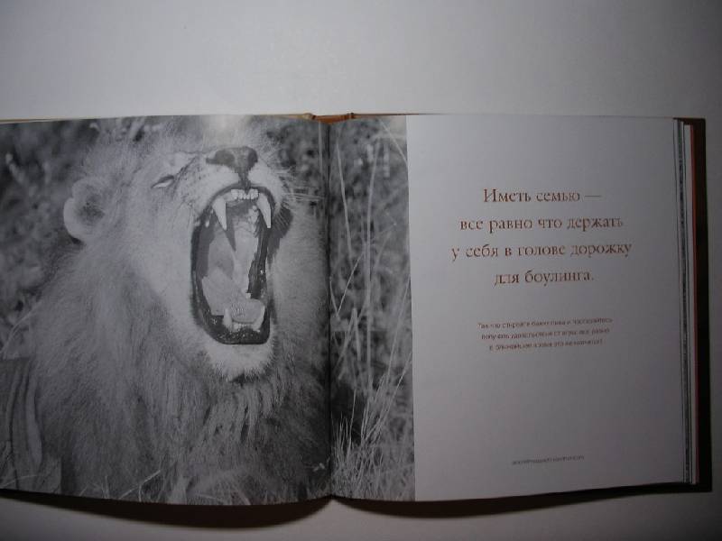 Иллюстрация 3 из 17 для Папочка - классный! Мудрость жизни: Почти все об отцовстве | Лабиринт - книги. Источник: Tiger.