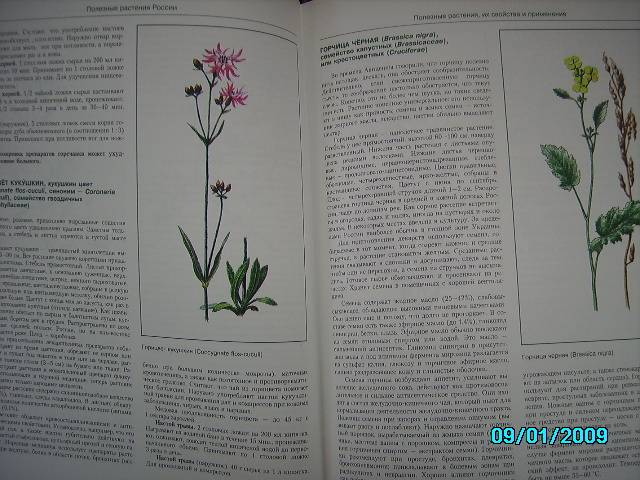 ПОЛНЫЙ АТЛАС ЛЕКАРСТВЕННЫХ РАСТЕНИЙ САФОНОВ СКАЧАТЬ БЕСПЛАТНО ПОЛНЫЙ АТЛАС ЛЕКАРСТВЕННЫХ РАСТЕНИЙ САФОНОВ СКАЧАТЬ БЕСПЛАТНО