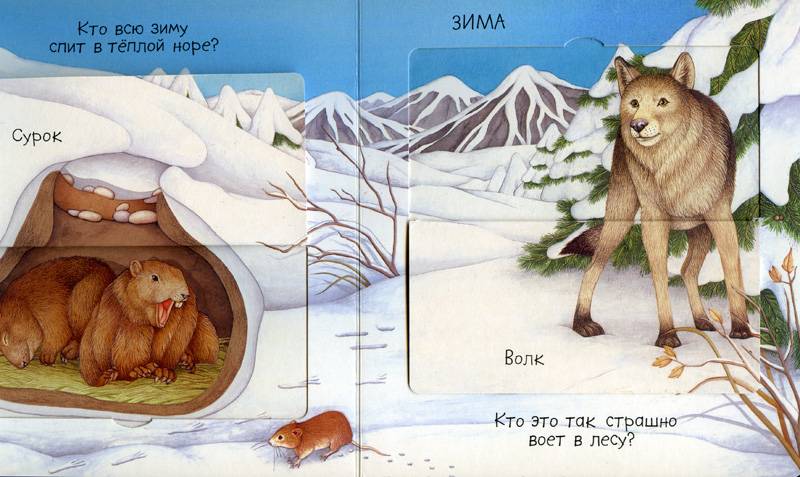 Иллюстрация № 6 к книге