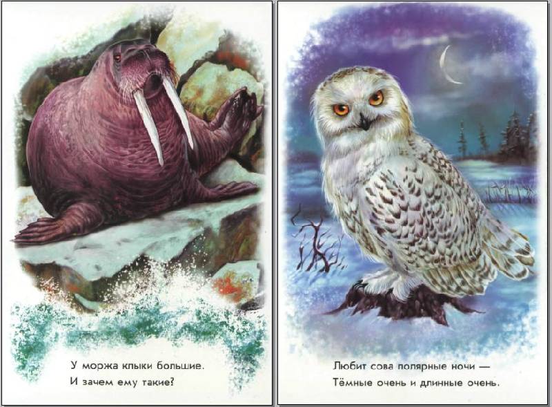 Что почитать? Обзор наших книг от 2 до 3 лет