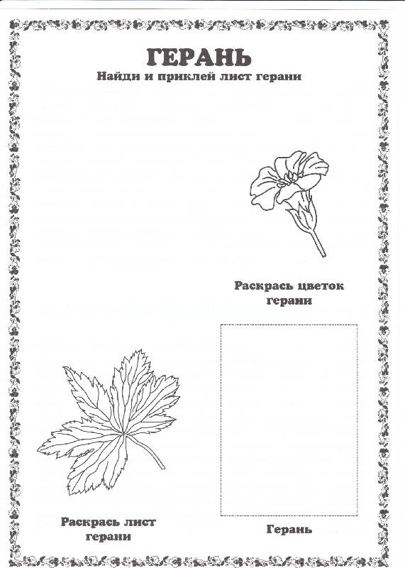 Дарья и тимур собрали и подготовили для гербария образцы растений