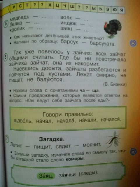 Гдз По Русскому Языку 1 Класс Андрианова Илюхина Учебник Ответы Учебник 1 класс гдз илюхина языку русскому ответы по андрианова
