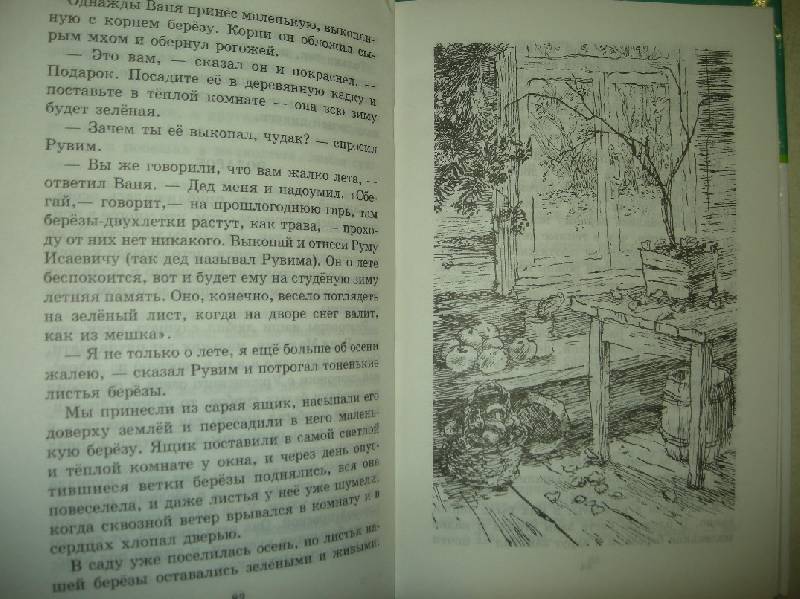 Рассказ паустовского читательский дневник