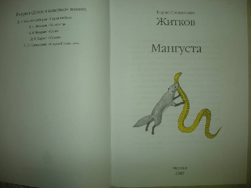 Читать эра мангуста 5. Житков мангуста книга.