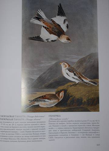 Книга: "Птицы Америки (в футляре)" - Джеймс Одюбон. Купить книгу ...