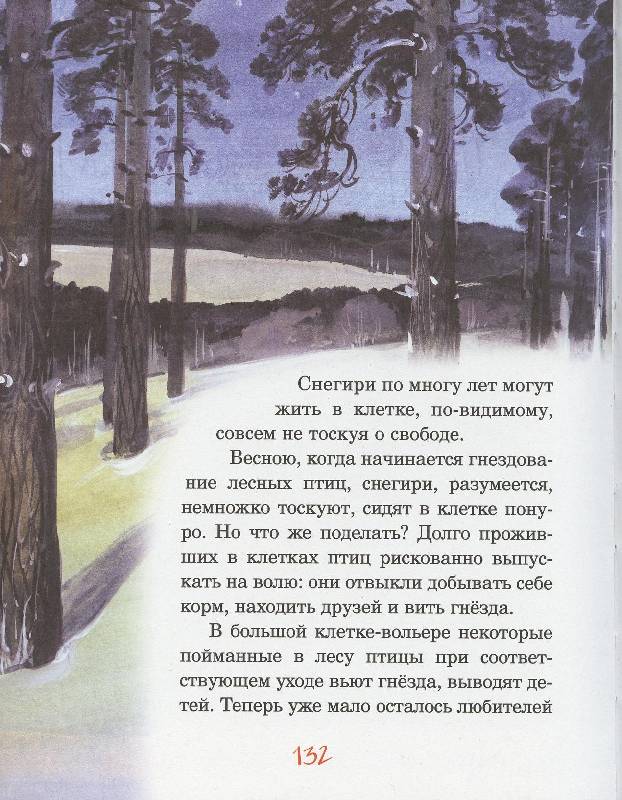 Соколов микитов русские сказки о природе 3 класс презентация