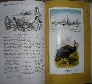 Серия книг Подарочные издания Великие путешествия | издательство Эксмо ...
