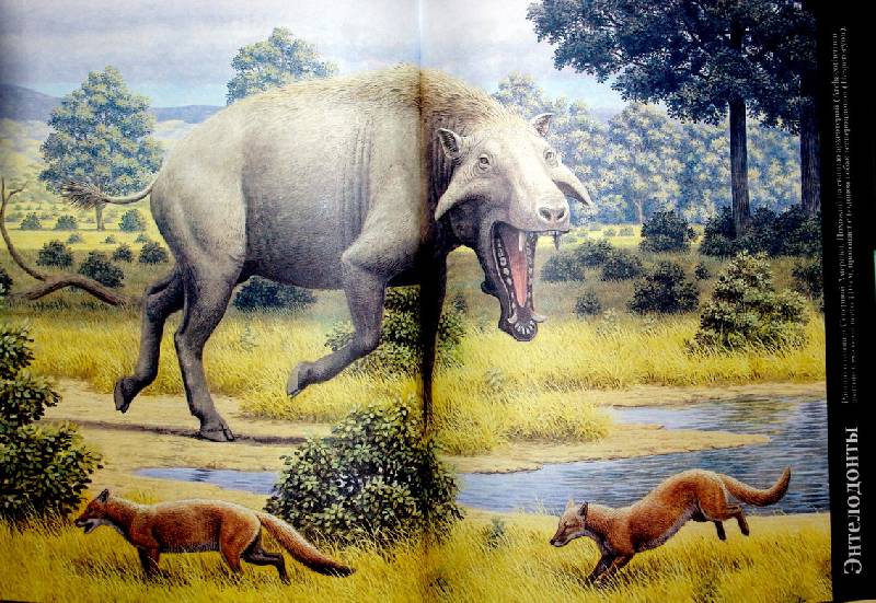 Название древнего животного. Зденек Буриан Гиенодон. Индрикотерий Зденек Буриан. Вымершие доисторические млекопитающие. Кондилартр предок бегемота.