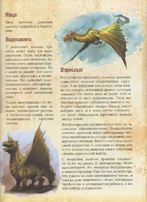 Драконова книга читать