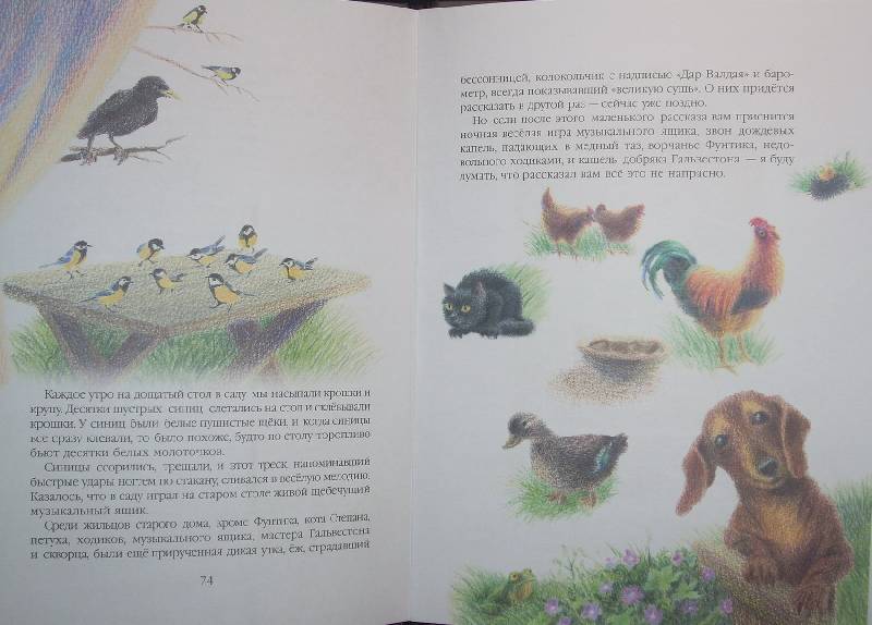 Книга: "Кот-ворюга" - Константин Паустовский. Купить книгу, читать ...