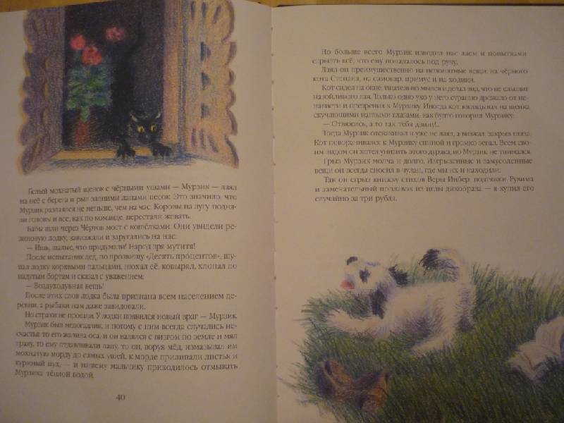 Книга про мальку. Кот-ворюга книга. Книга кот ворюга Паустовский. Придумать историю про мальку 3 класс коротко. Короткие сказки про мальку.