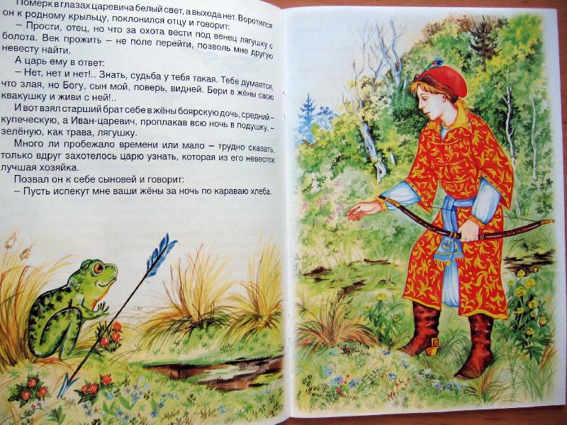 Сказка жаба читать. Царевна лягушка. Иллюстрация к сказке Царевна лягушка. Царевна лягушка книга с иллюстрациями. Сюжет сказки Царевна лягушка.