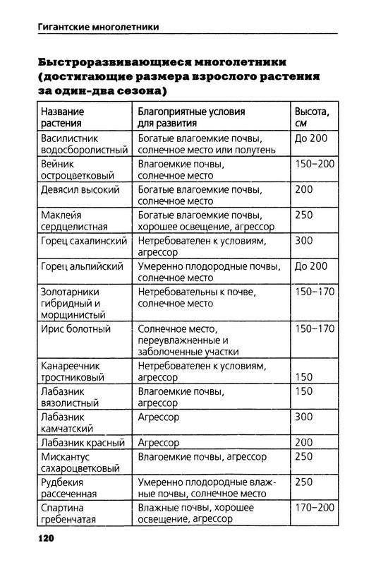 Честолюбивые планы или чистолюбивые