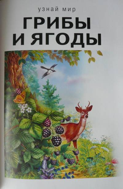 Грибная книга с картинками