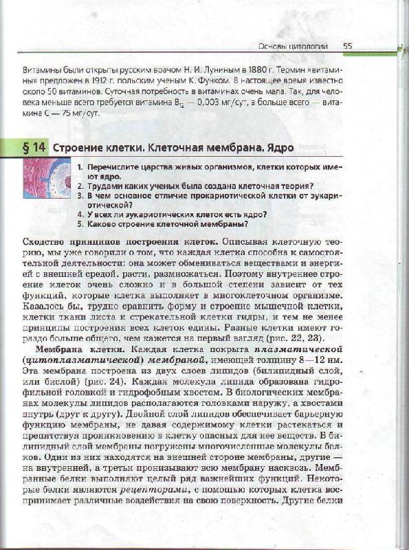 Учебник по биологии 10-11 класс каменский