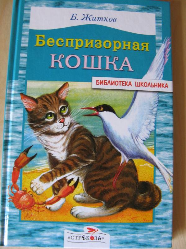 Беспризорная кошка скачать книгу бесплатно