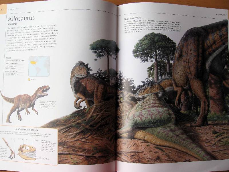 Иллюстрация 17 из 58 для Динозавры. Иллюстрированный атлас | Лабиринт — книги. Источник: Red cat ;)