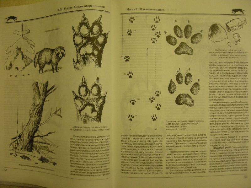 Книга: "Следы зверей и птиц. Энциклопедический справочник-определитель ...