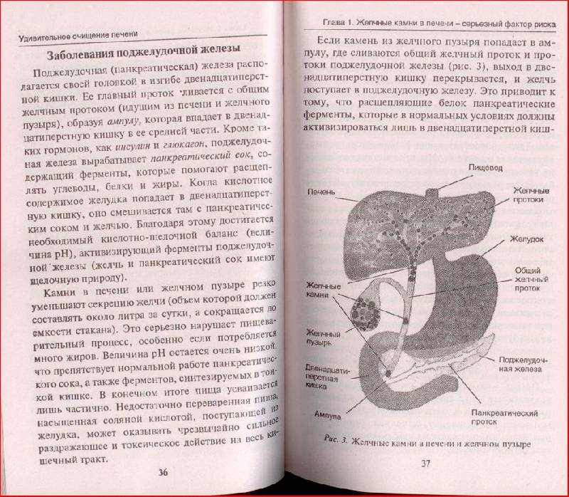 удивительное очищение печени андреас мориц